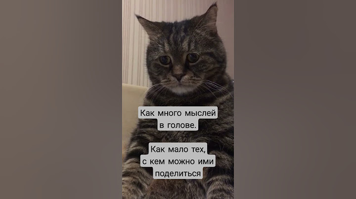 #грусть #sadness #cat #грустныйкот  #цитаты #музыка #душа #друзья #рекомендации