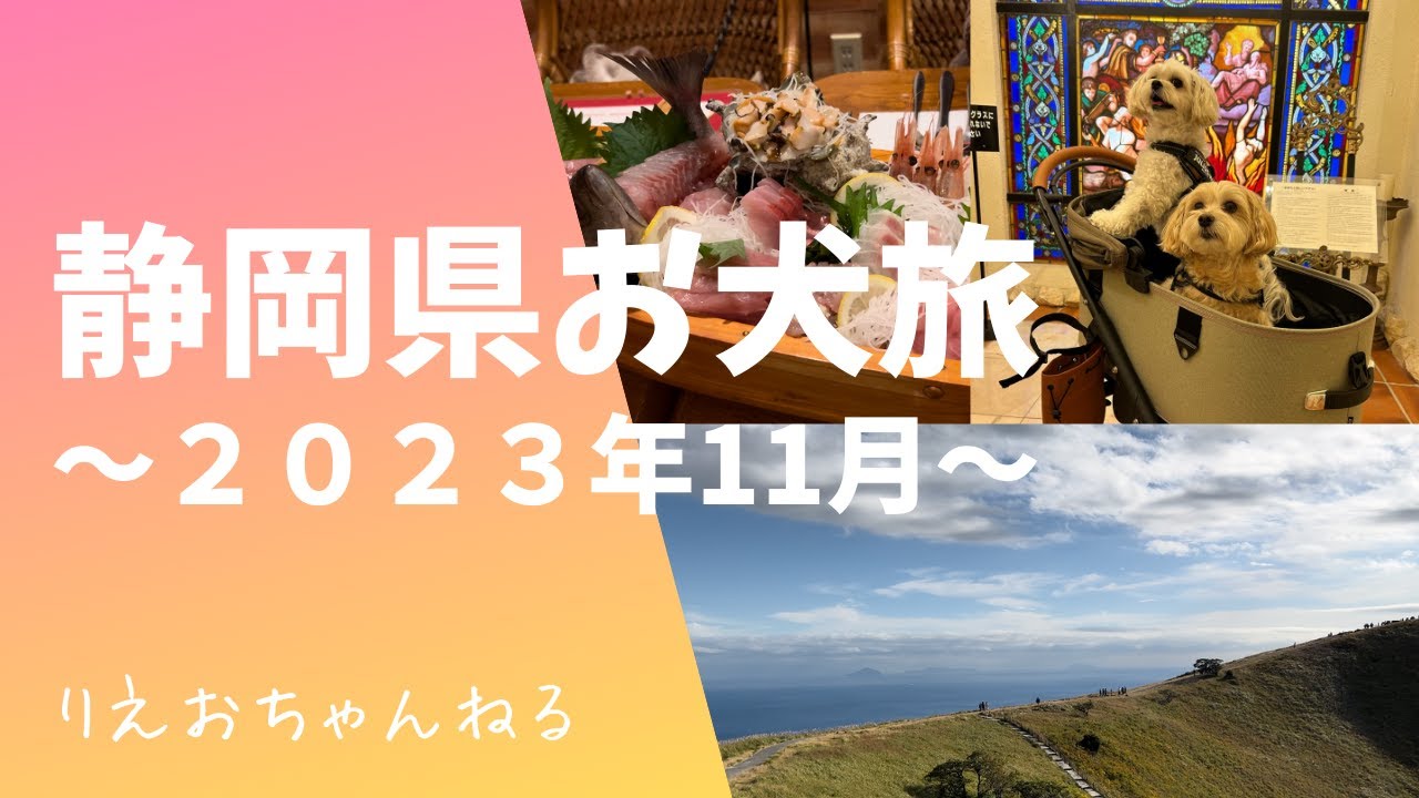 静岡県伊豆高原を愛犬とドライブ旅〜伊豆グルメを堪能し、絶景鑑賞をする一泊二日旅