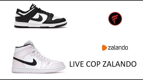 Flare AIO Live Cop  | Zalando 11.05.2021