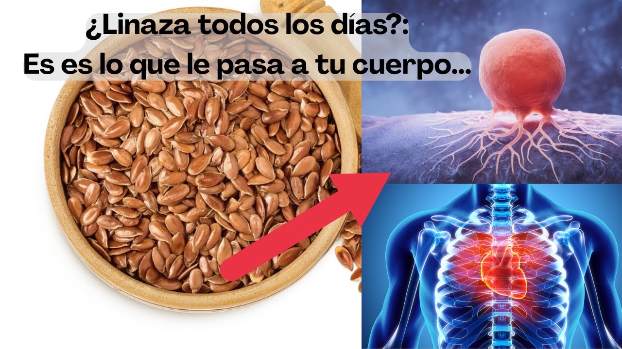 LA SEMILLA MILAGROSA: LA LINAZA Y TODOS SUS BENEFICIOS