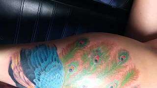 Progression of Java peacock leg tattoo