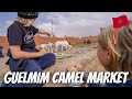 REVISITING THE GUELMIM CAMEL MARKET AND SATURDAY SOUK