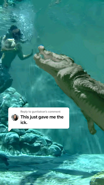 you will never look at crocodiles the same #viral #shorts