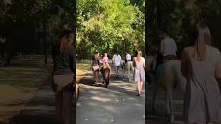 Купить 2 комнатную квартиру в Краснодаре район ЗИП вторичка