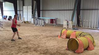 Lizzie advanced standard course 2 - 109264