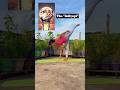 Yoga Poses Inspired By Shiva Shorts Yoga Trending Mahadev 