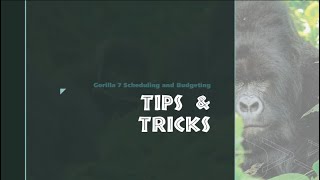 Tips and Tricks for Gorilla Film Software