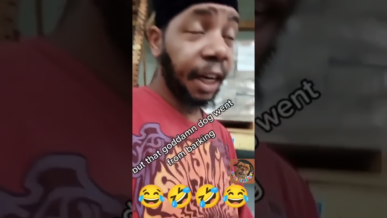 Dog messes with Ant Eater. Instantly regrets it. 