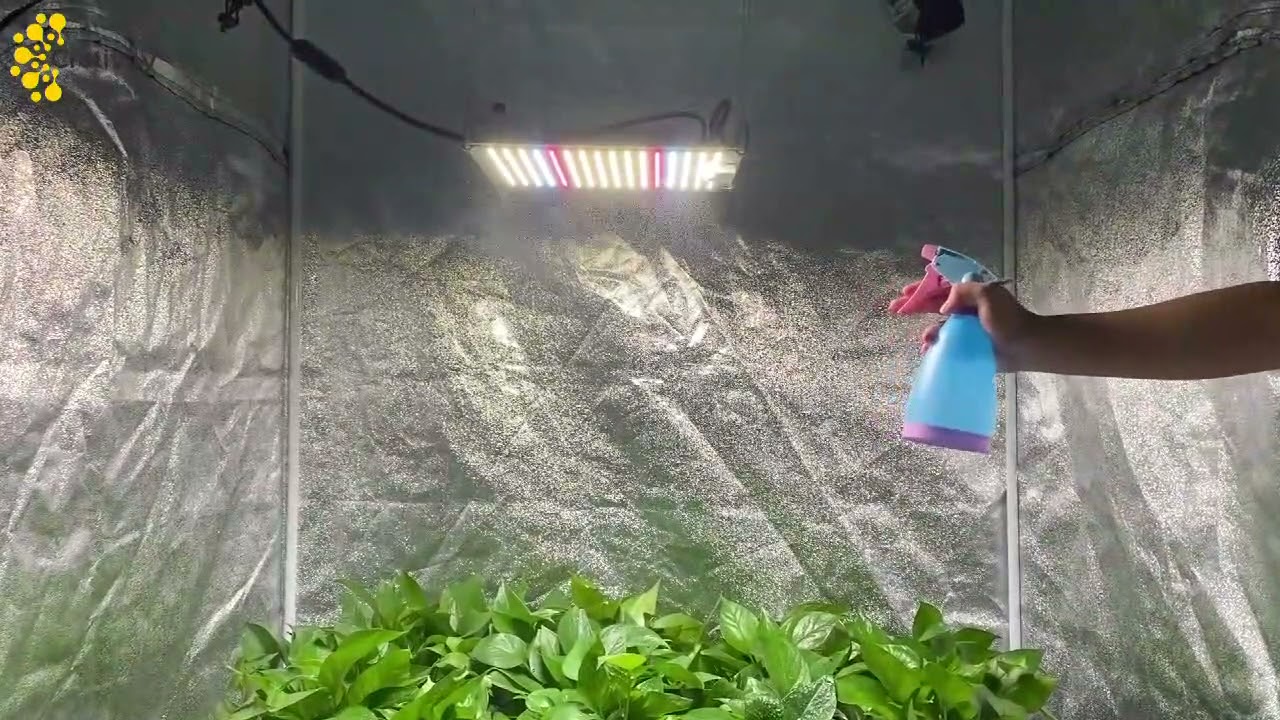 QII 120W Quantum Board Full Spectrum LED Grow Light