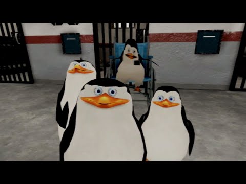 LOS PINGUINOS SE VAN A ESCAPAR