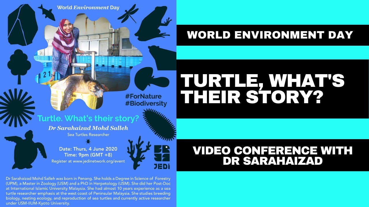 Turtle, What's Their Story? - Dr Sarahaizad Mohd Salleh