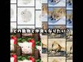 どの動物と仲良くなりたい?#ウサギ #キツネ #ライオン #子豚 #バズれ