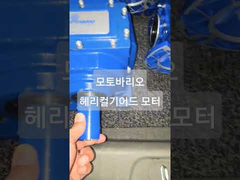   모토바리오 MOTOVARIO 특판사업부