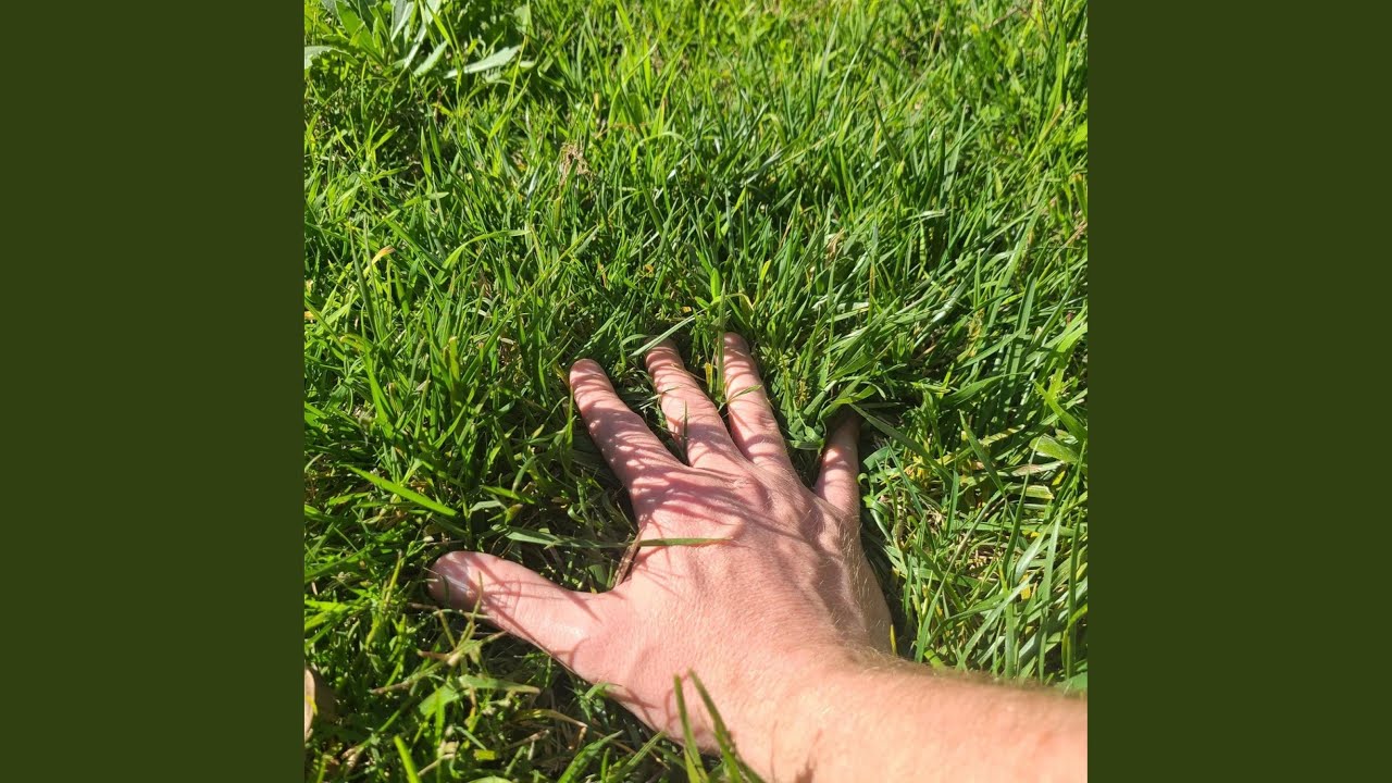Watch Touch Grass on YouTube Watch Touch Grass on YouTube