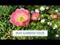 May garden tour flowering perennials  shrubs english country garden  cottoverdi