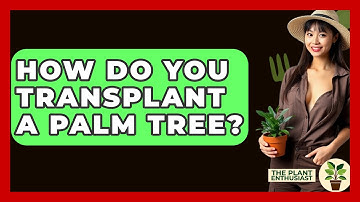 How Do You Transplant A Palm Tree? - The Plant Enthusiast