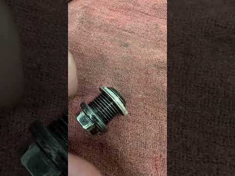 Vehicle Leaking Oil