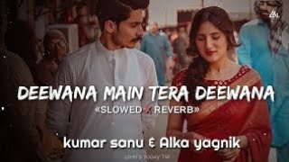 DEEWANA MAIN TERA DEEWANA || Slowed Reverb || Use Headphones 🎧 Lofi Music💙❤