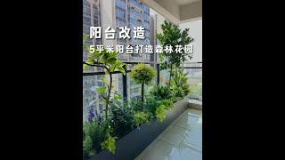 Creating an atmospheric forest garden on a 5-square-meter balcony #atmosphere #阳台花园 #阳台种植 #花园生活 #改造