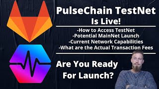 PULSECHAIN TESTNET - How to Set up, When MainNet, & Stats on the Test Server