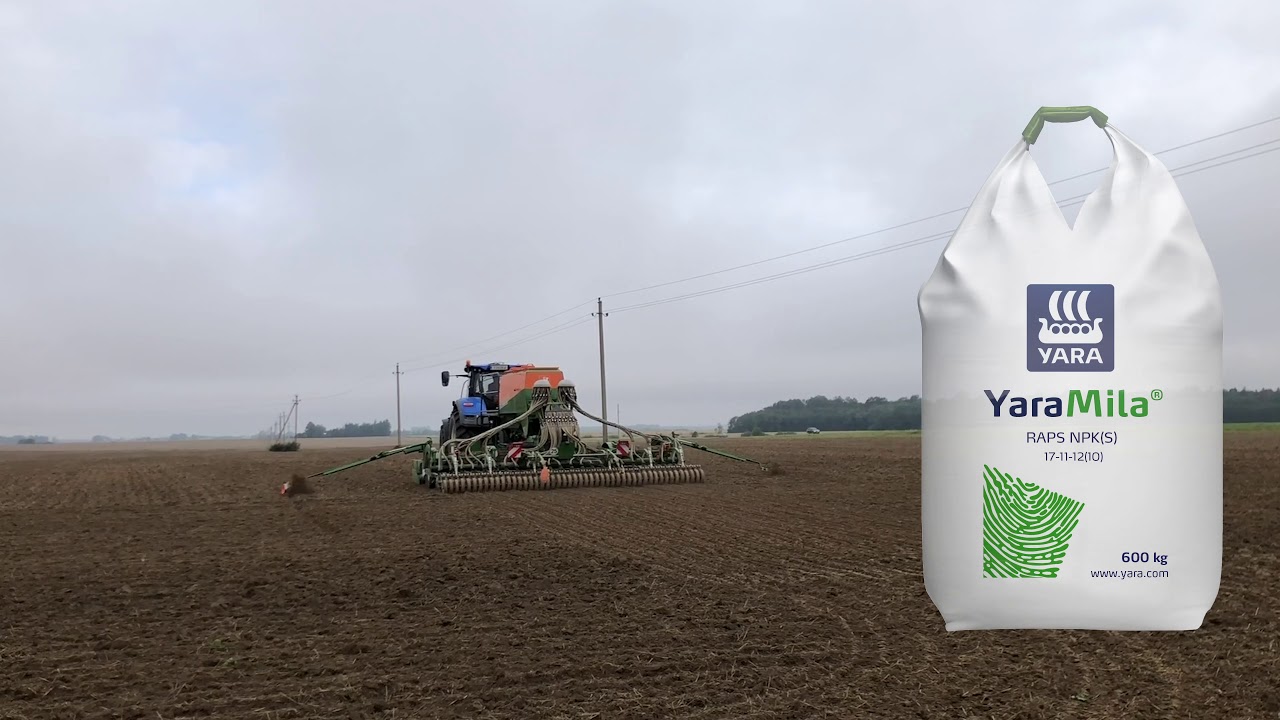 Žieminių rapsų sėja. Kokias trąšas naudoti?
