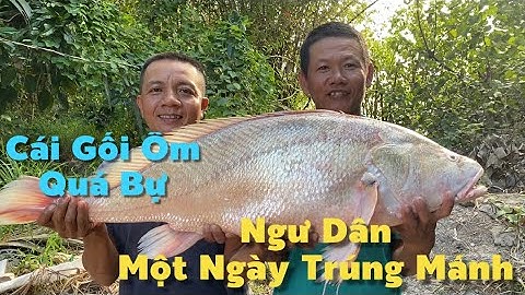 Hôm Nay Anh Trọng Trúng Mánh Cái Gối Ôm Quá Bự Và Cá Tra Bần | Cù Lao Dung Vlogs #790