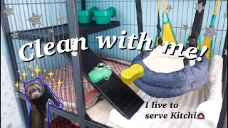 Cleaning my ferret's cage│Kitchi makes a comeback