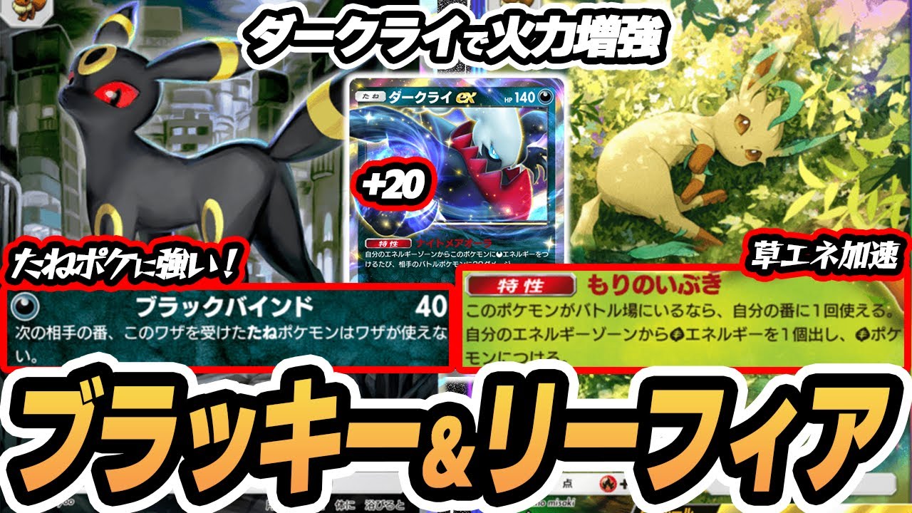 ポケモンカード 2007年 ブラッキー オーダイル リーフィア他 ブラッキー&リーフィアexが激アツ!悪エネ縛りでダークライexで