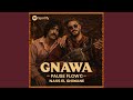 Pause Flow X Nass El Ghiwane