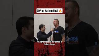 Diamond Dallas Page on Booker T, Harlem Heat
