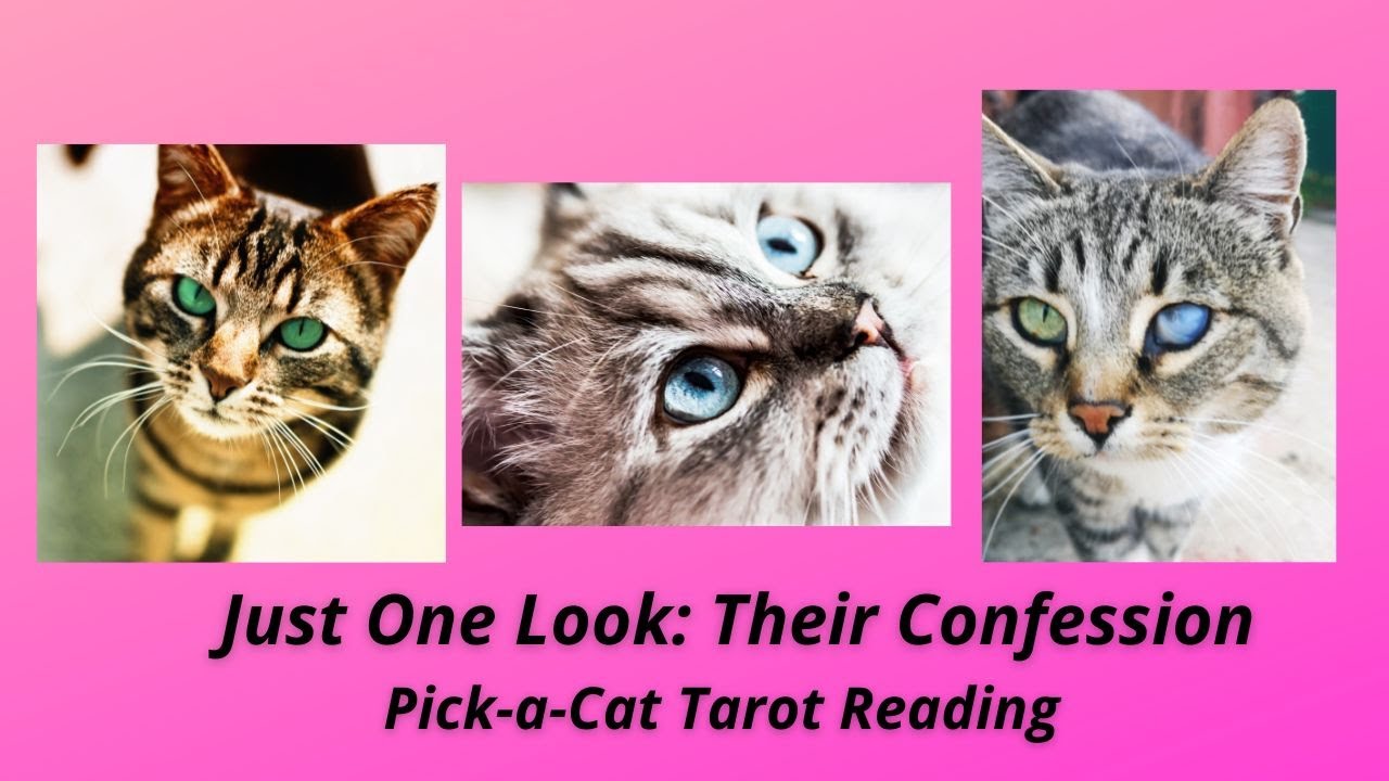 Just one look💕🍟😘/Their confession💫/Pick a Card Tarot Reading💜