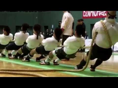 2017全日本綱引選手権【決勝戦1本目】BIWAKO同志会vs進友会