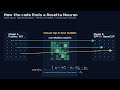Do AI Neurons Follow Scaling Laws? Rosetta Neurons, Superposition, and the Black-Box Caveat