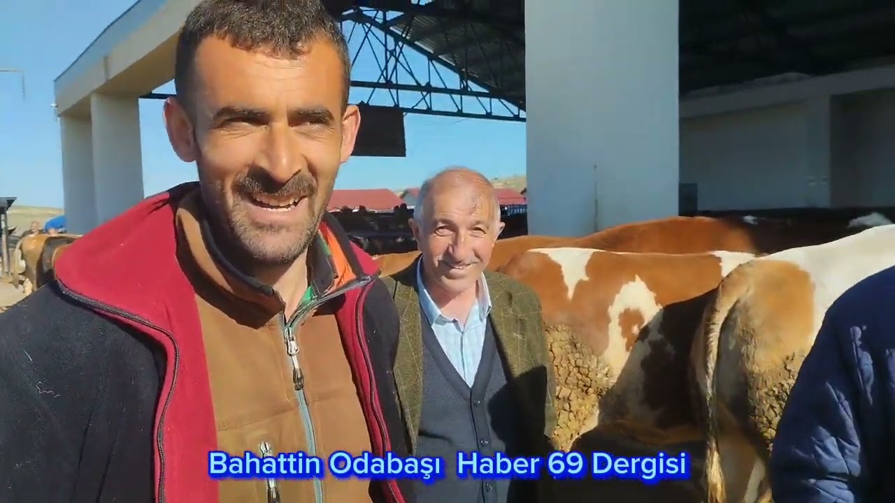 BAYBURT HAYVAN PAZARINDA FİYATLAR