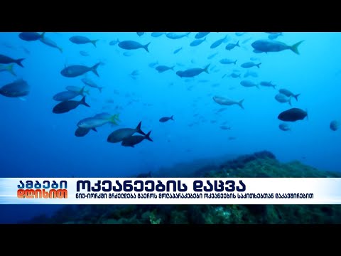 გაეროს მოლაპარაკებები ოკეანეების საკითხებთან დაკავშირებით