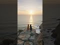 Cat see sea