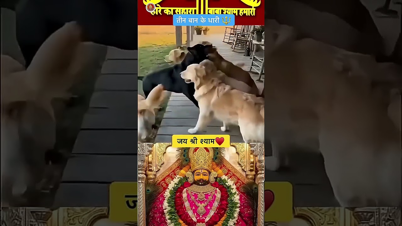 Original Title & Thumbnail
