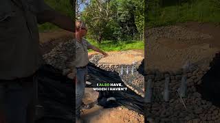 Building a Wildlife Pool #naturalpond #naturalswimmingpool #permaculture