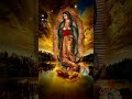 Mañanitas a la Virgen de Guadalupe#shorts#guadalupe#2023#18