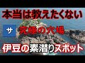 静岡伊豆おすすめ素潜りスポット紹介!シュノーケルスキンダイビング最適な綺麗な魚海【シュノーケリングダイビング釣り】国内観光旅行宿泊南東西下田土肥落居妻良大瀬黄金,魚大量場所ポイント穴場自然ヒリゾ浜