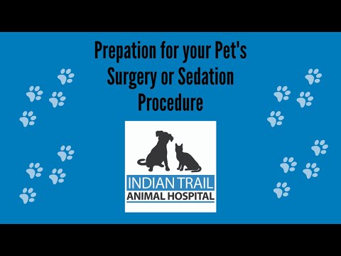 ITAH Pet Surgery and Sedation Preparation