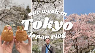 JAPAN VLOG 🌸 Tokyo in 7 days during Cherry Blossom Season