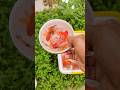 Colorful freshwater fish scoop, aquariumornamental fish, goldfish, koi fish, cometfish, turtles