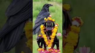 jai shani dev🕉️#shortsfeed #ai #shorts #shortvideo #viralshorts #viral #viralvideo #bhakti #bhajan