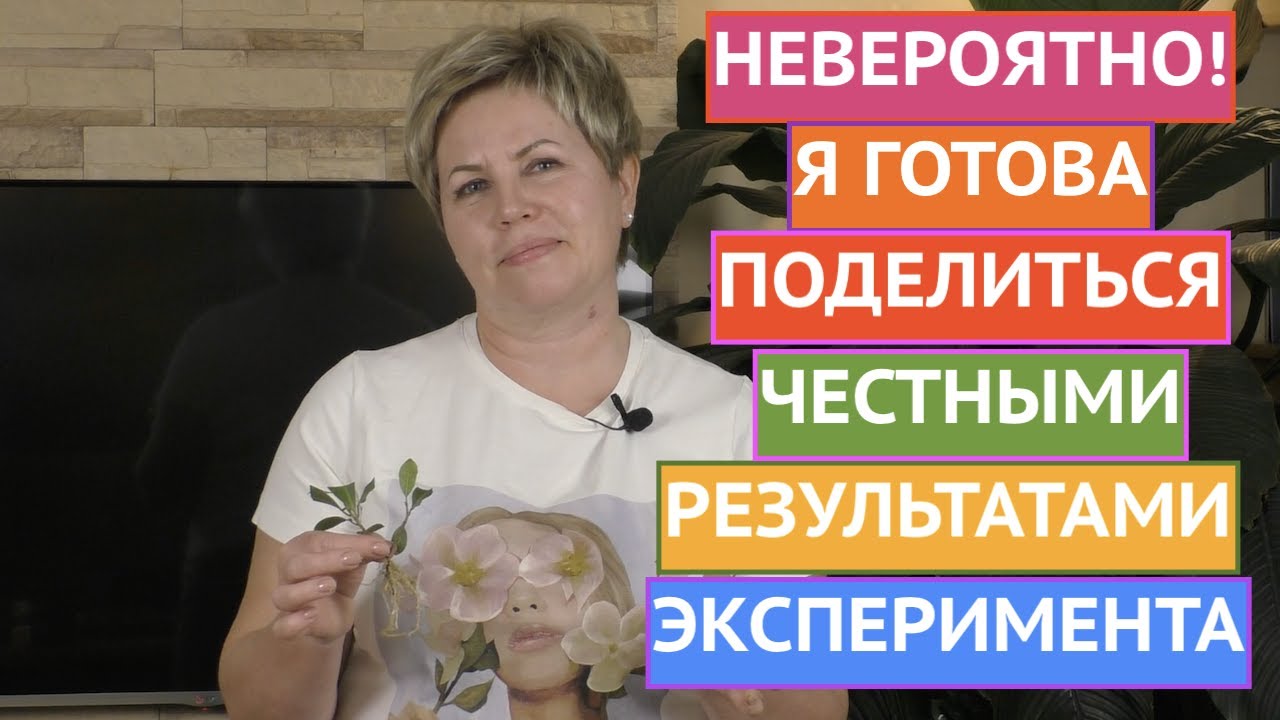 В ПОИСКАХ ЛУЧШЕГО УКОРЕНИТЕЛЯ! БОЛЬШОЙ ЭКСПЕРИМЕНТ!