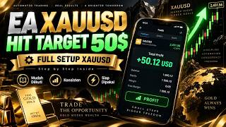 Consistent Setup for $50 Per Day with Minimum Wage Equity - Ferdi Penna Logic
