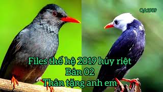 QA1989 || tiếng chim hoét xoan ( hét đầu bạc ) bản 02 chuân