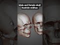 male and female skull #neetaspirants #anatomy #chemistry #doctor #chemistrychamps #futuredoctors