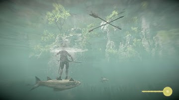SHADOW OF THE COLOSSUS Going Harpoon Fishing