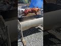 Stainless Steel DIY Adjustable Litsunan with Wiper Motor (Whole Pig Rotisserie)